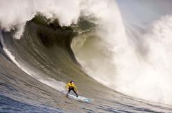 开云APP-德甲争冠战之夜，奥亚尔萨瓦尔打出生涯之夜