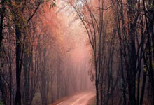 开云体育入口-AC米兰神秘新援助力球队逆转胜利